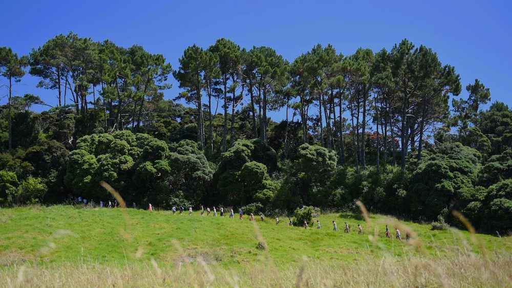 The Rock Adventure Cruise tours island trekking on Roberton Island