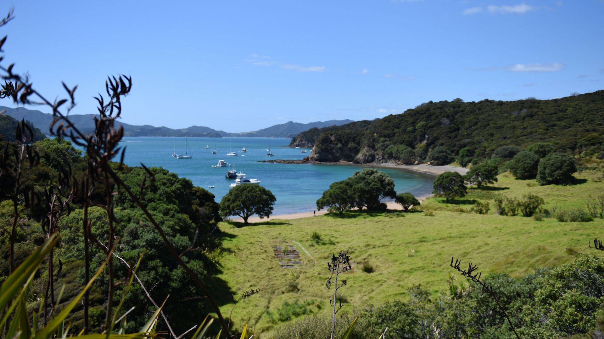 Stunning view at Palm beach, Bay of Islands together with The Rock Adventure Cruise