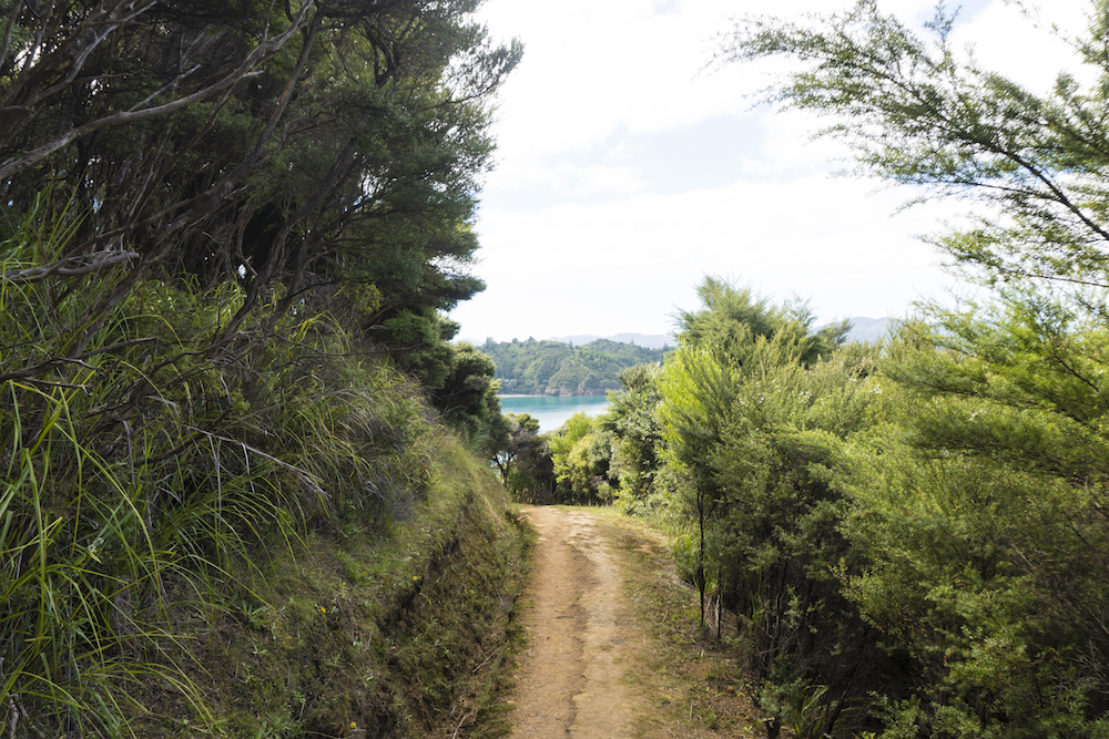 Walking Tracks around Paihia