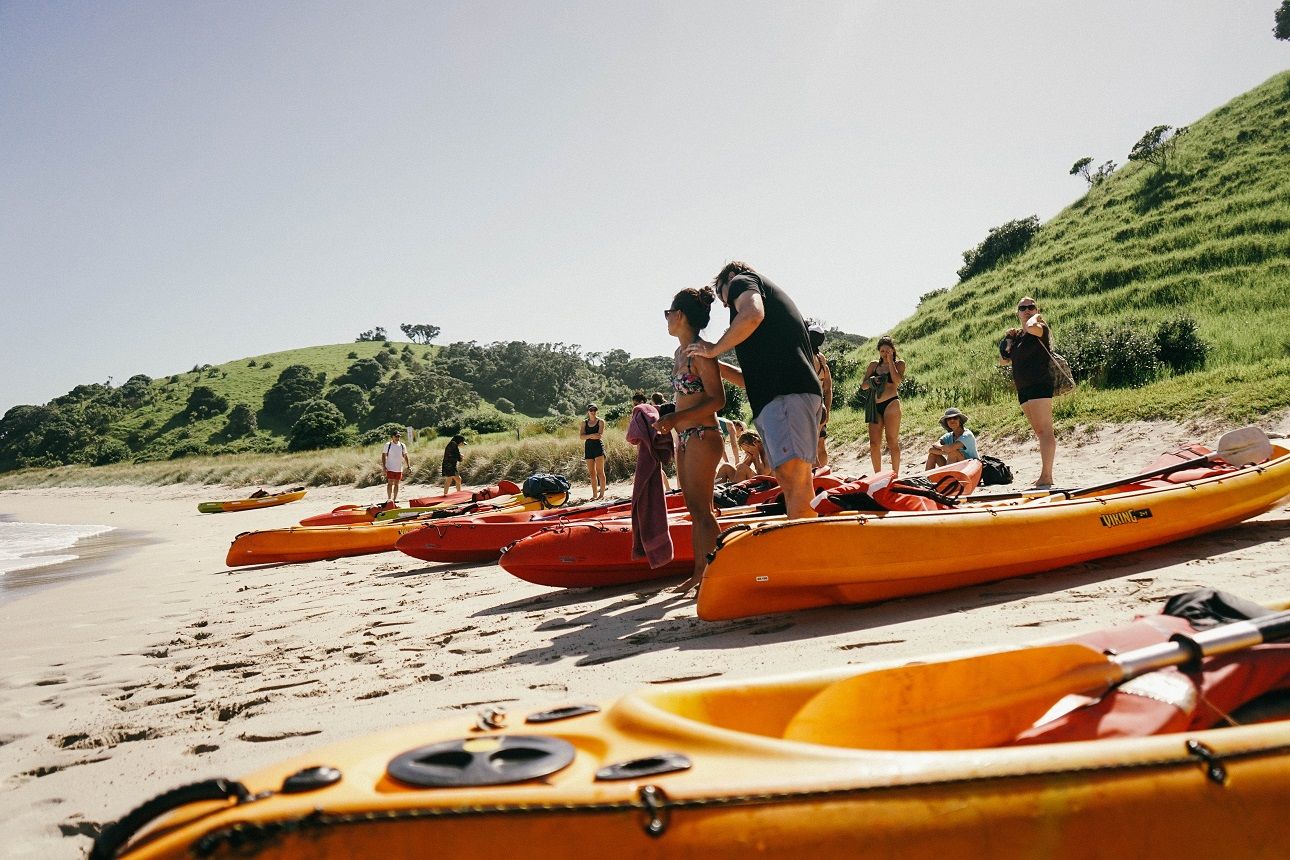 Kayak through the Bay of Islands and explore white sand beaches