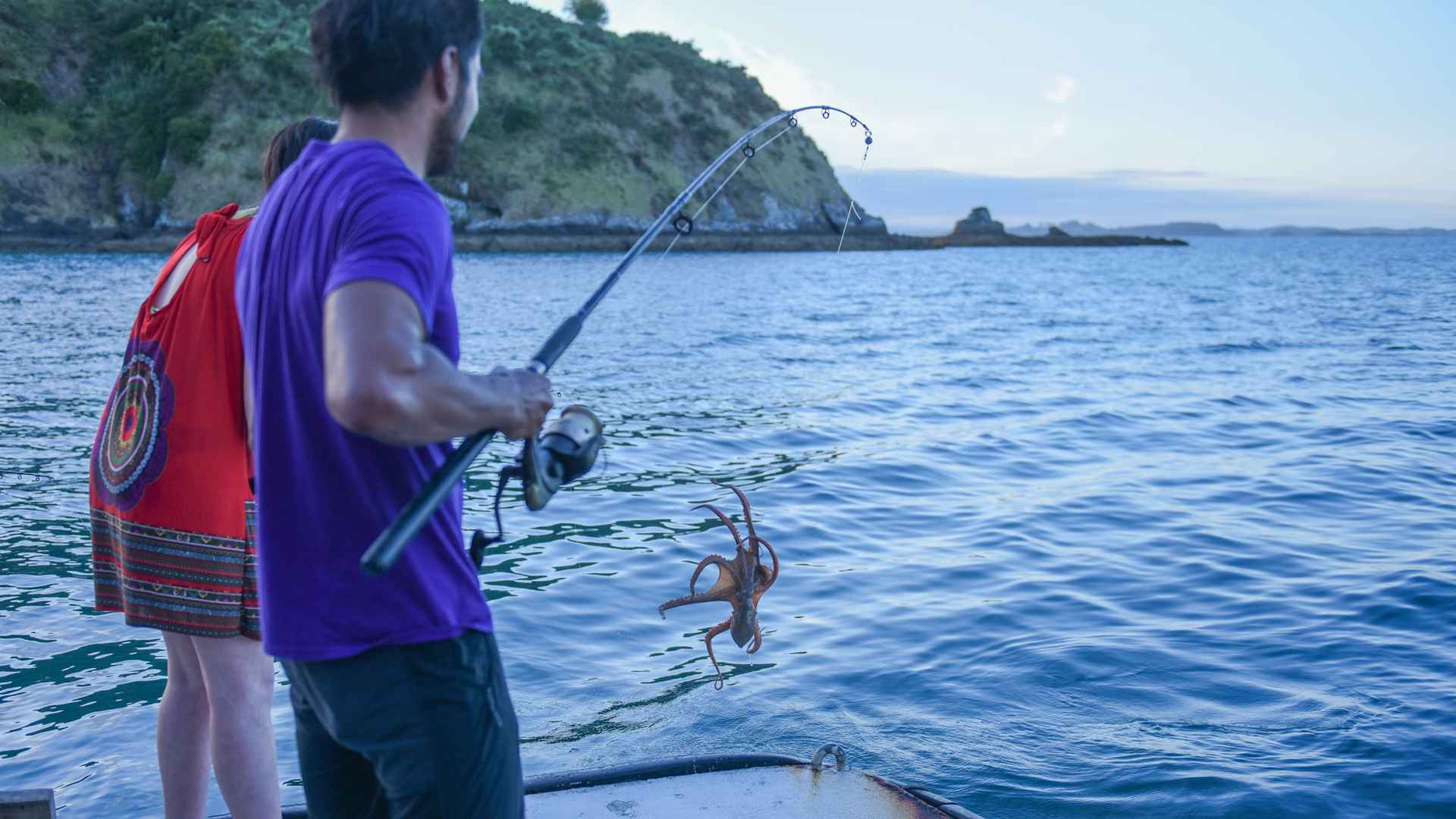 An octopus accidentally caught while dusk fishing.