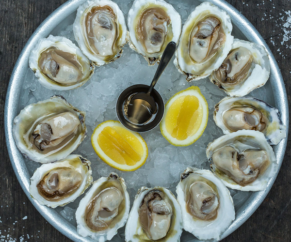 New Zealand Oysters