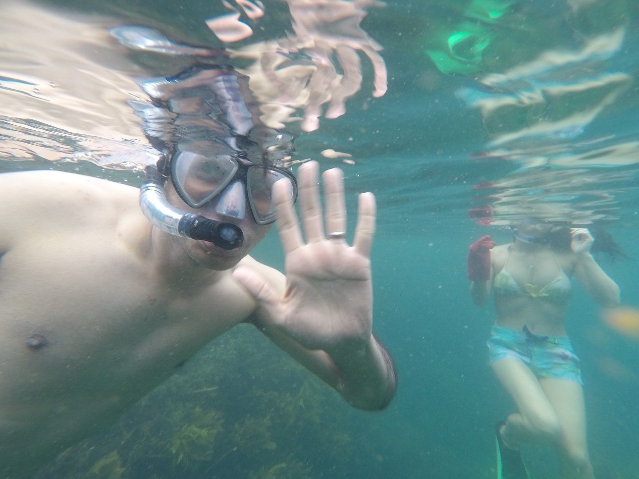 Top 5 Things You Can’t Miss in the Bay of Islands - snorkeling