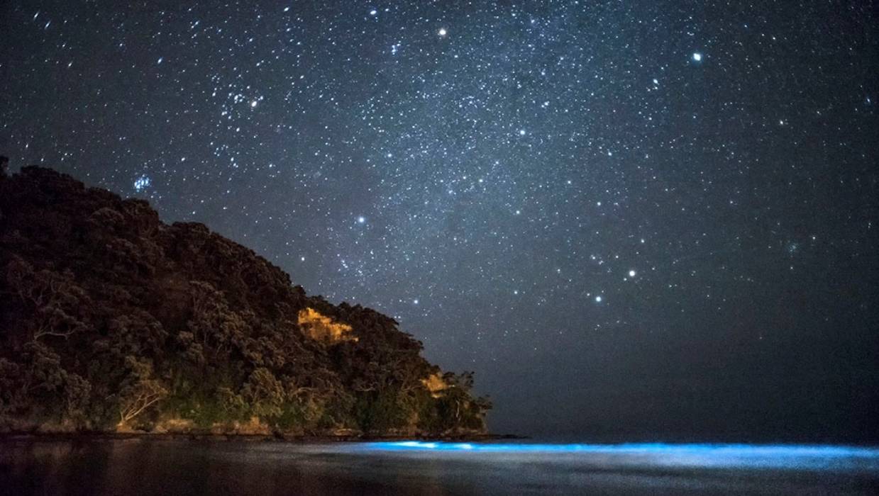 Water Phosphorescence in Bay of Islands New Zealand