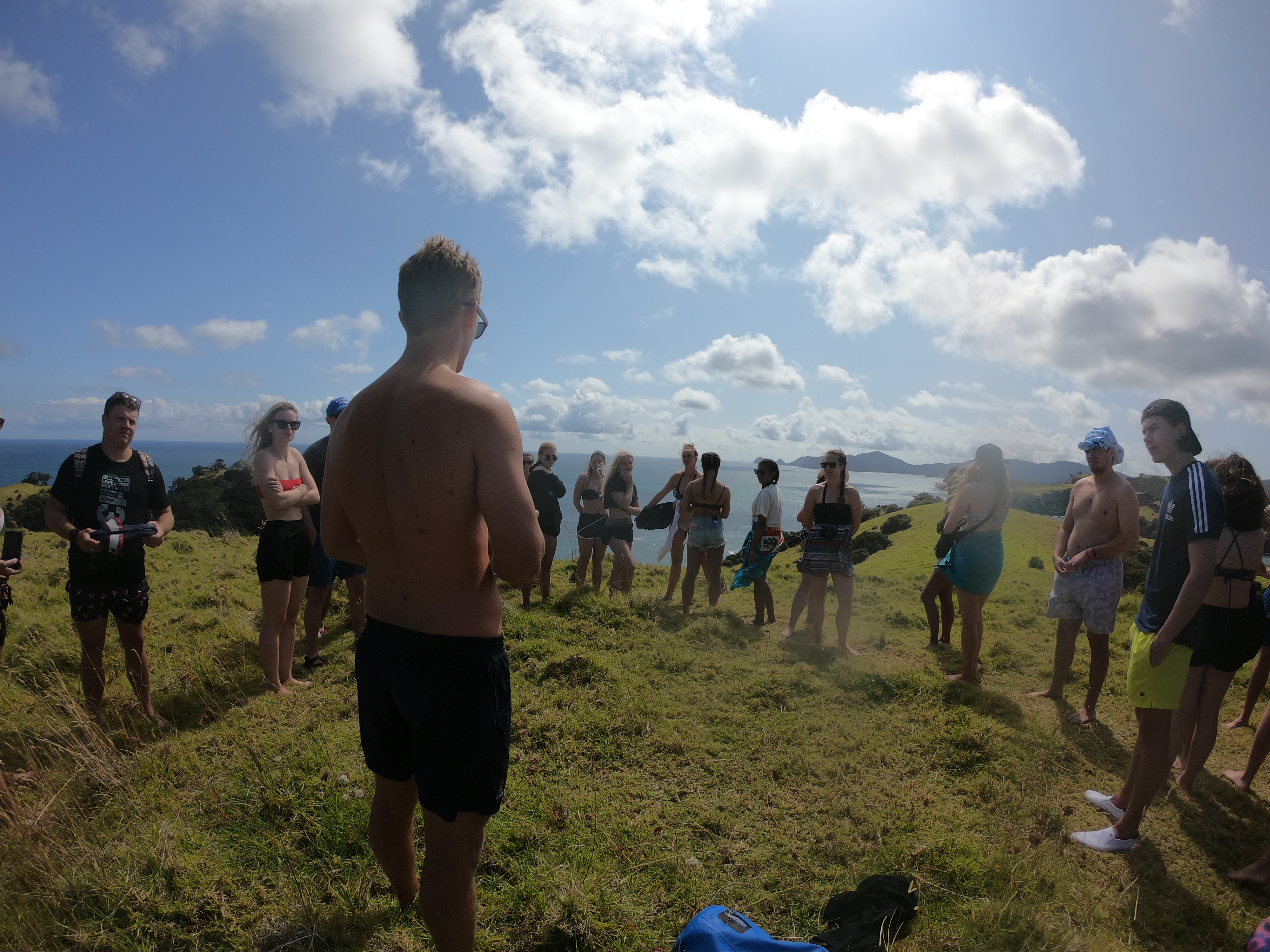 view top above marine life sanctuary in the Bay of Islands