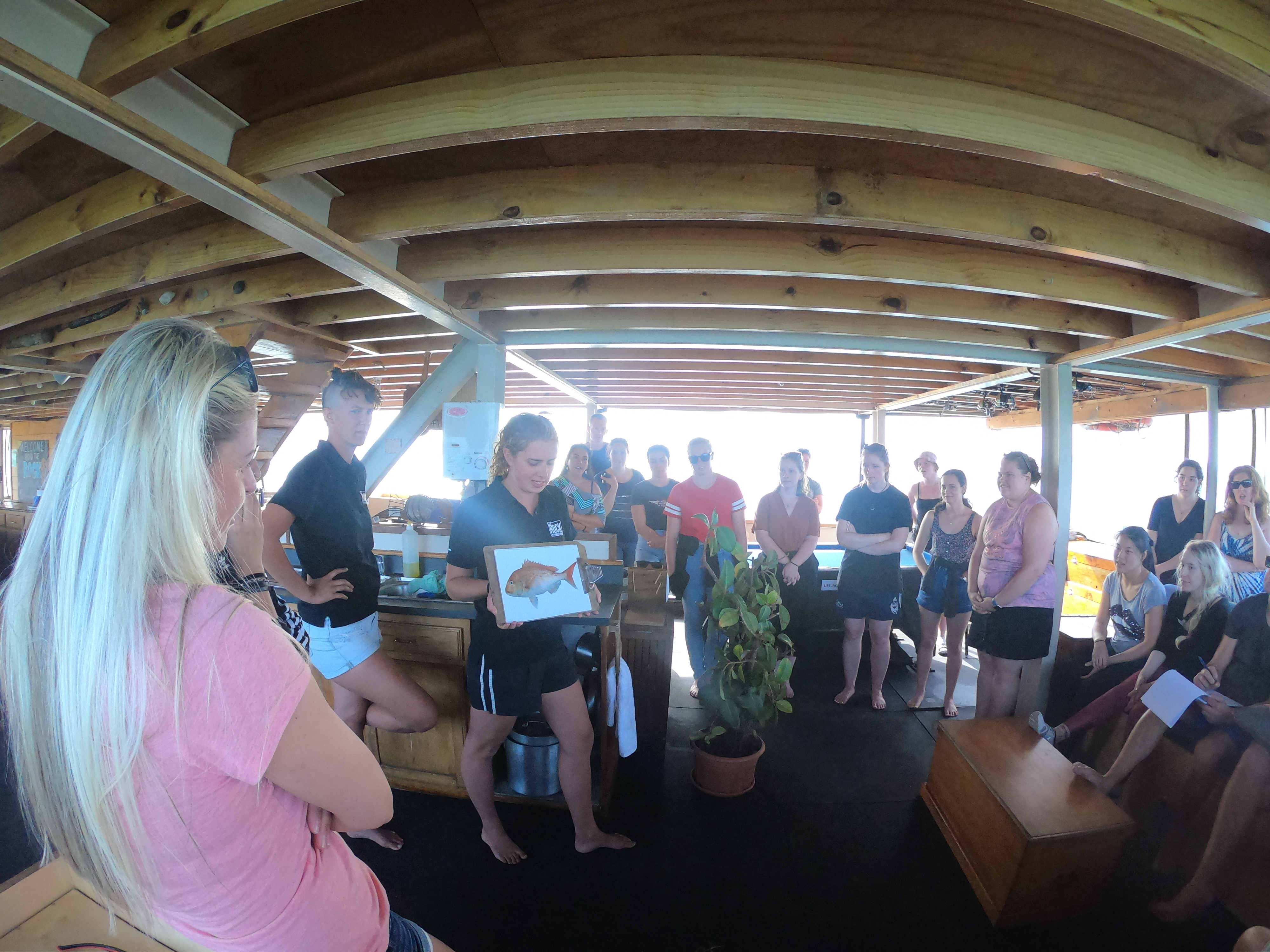 guests learning about the local fishes in the bay of islands