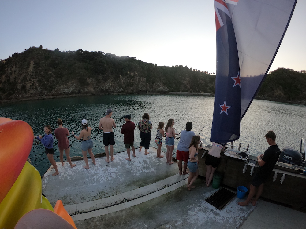 dusk fishing during new years at the bay of islands