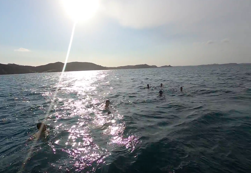 people enjoying swimming in the Bay of Islands