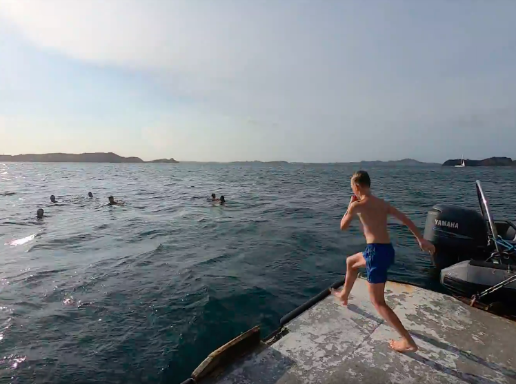 boy jumping off to the bay of islands