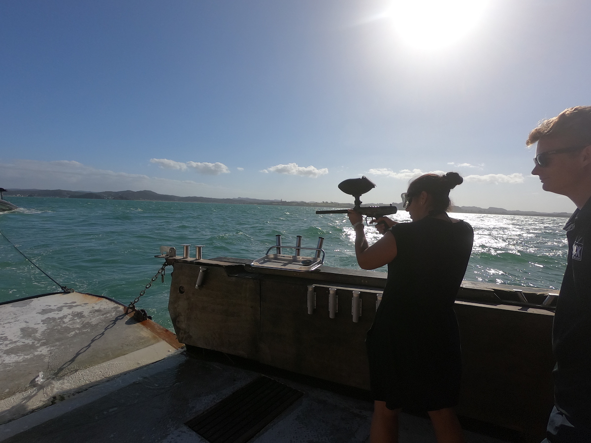 dusk fishing at sundown at the bay of islands