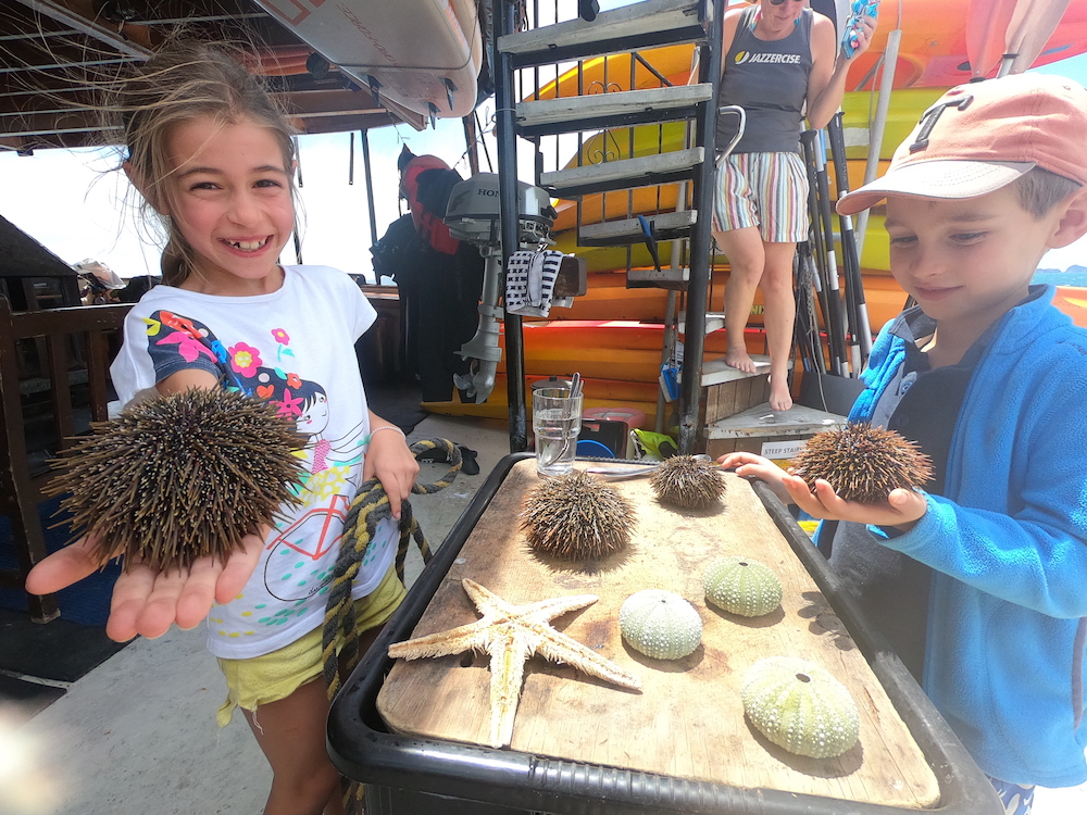 kids enjoying kina shell in the rock adventure cruise new zealand