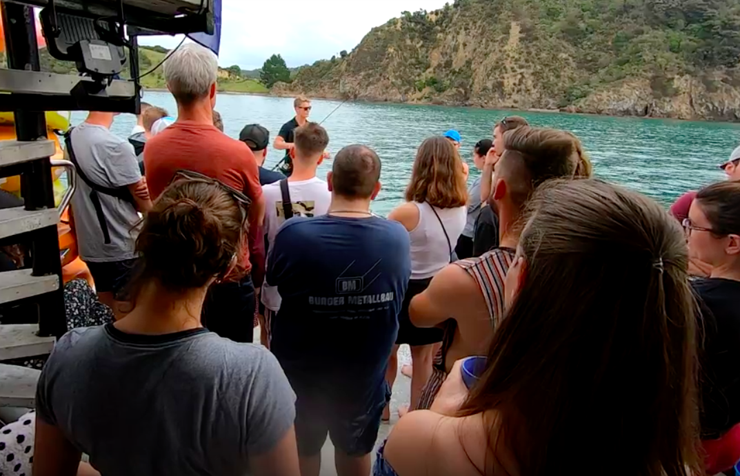 fishing at the bay of islands with the rock crew