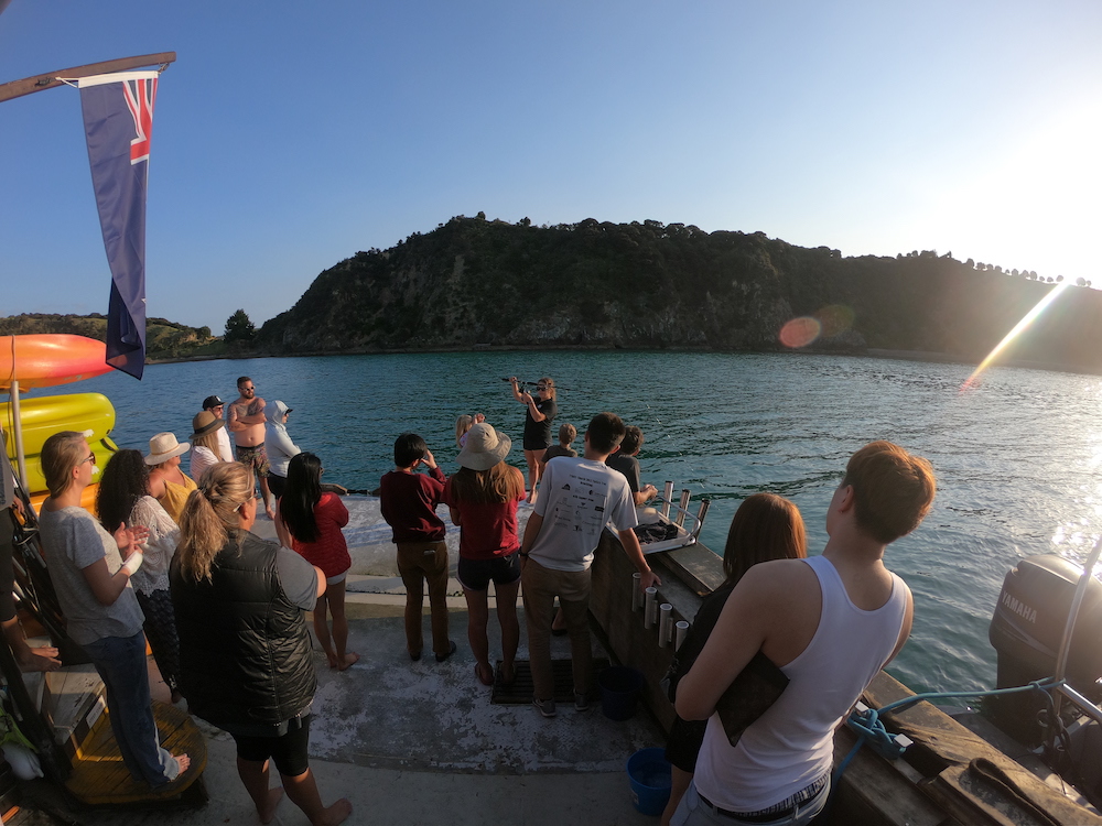 fishing in new zealand