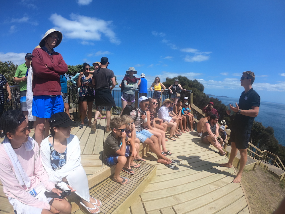 roberton island with the rock adventures cruise