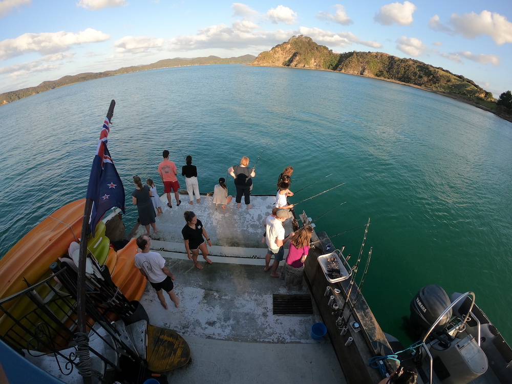 dusk fishing at the bay of islands