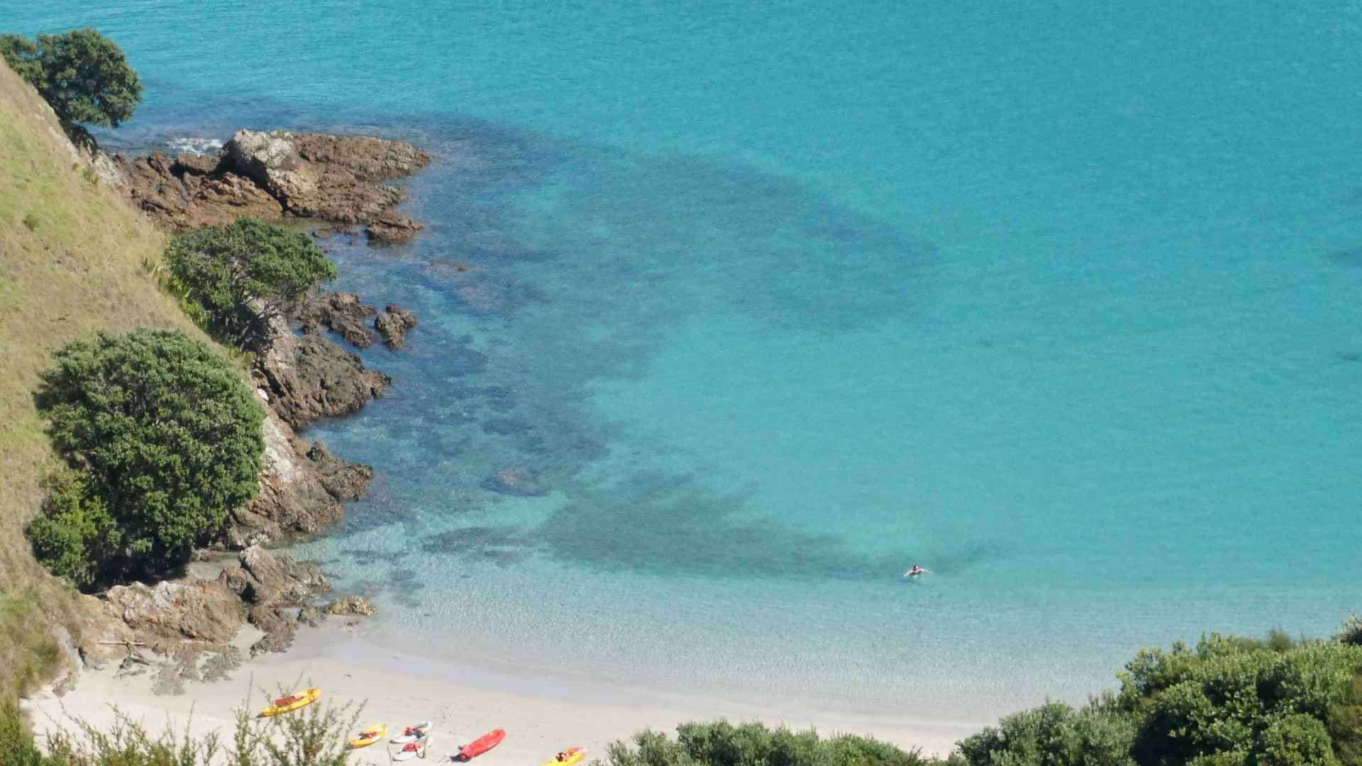 stingray cove for snorkeling