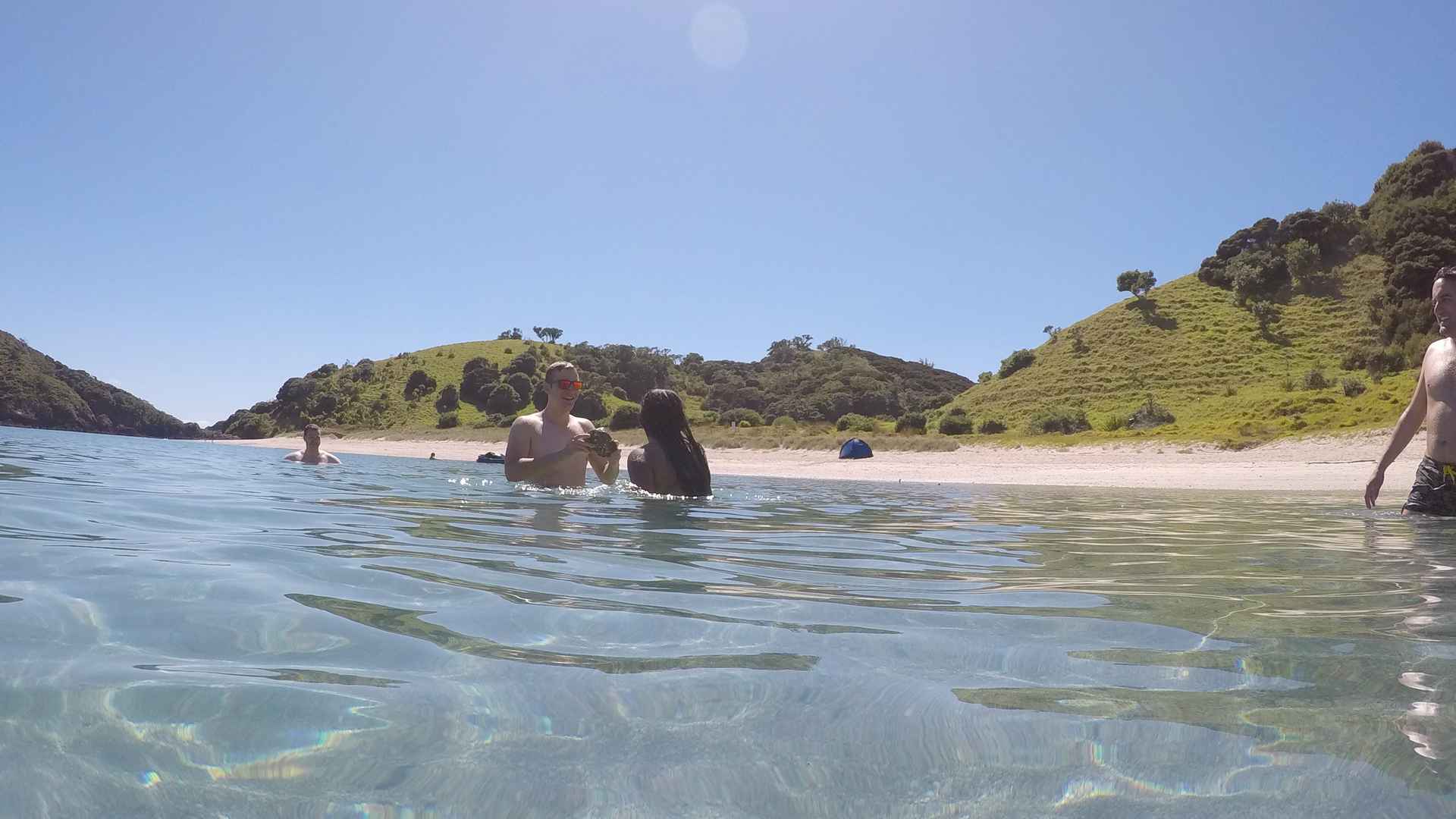swimming in the coast of bay of island nz