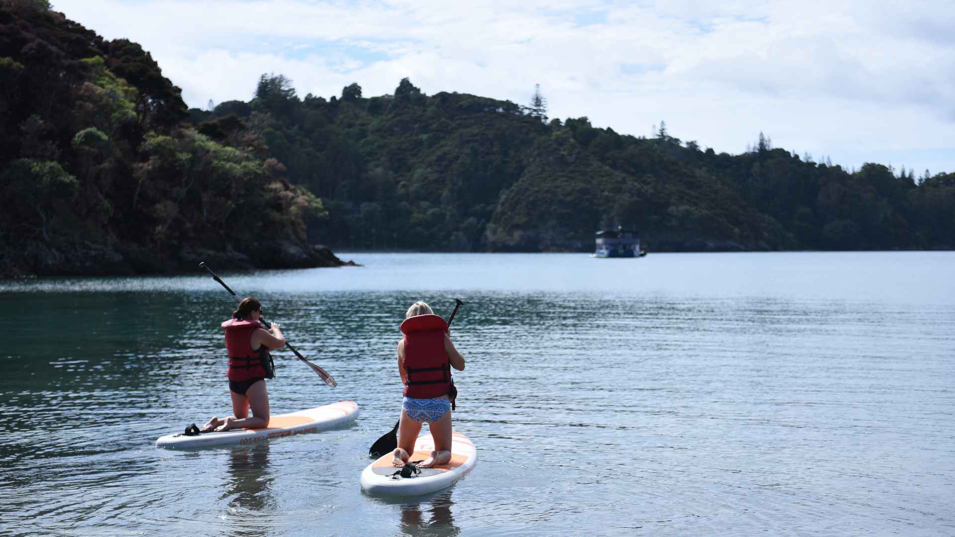 paddle boarding going to roberton island