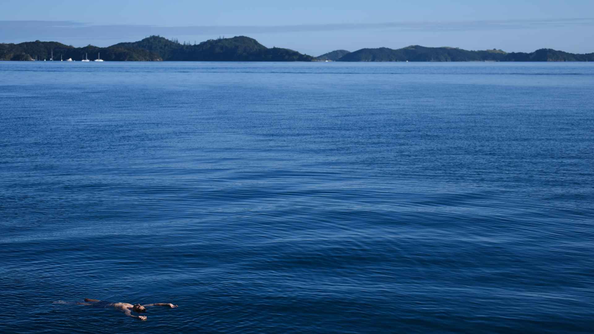 swimming in the bay of islands during january