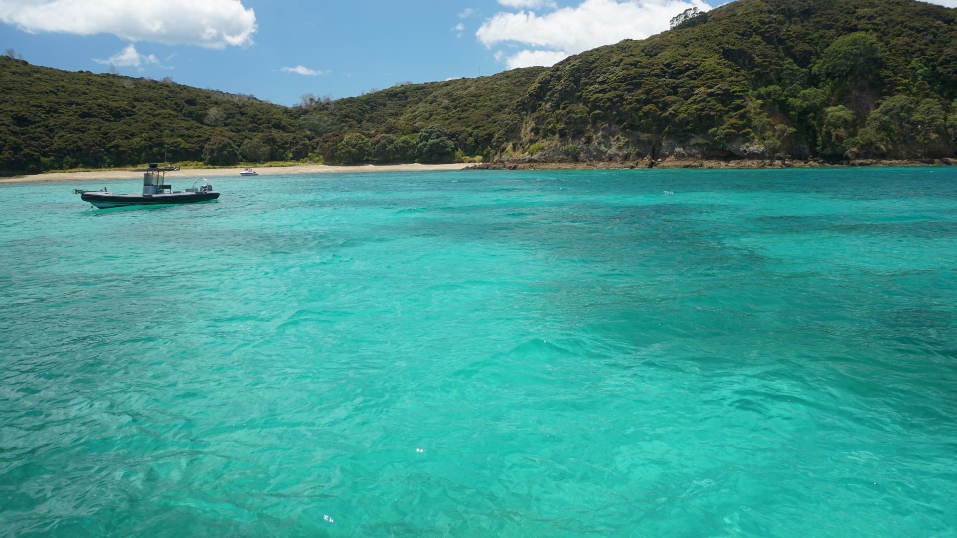 Choosing the right island for marine life spotting