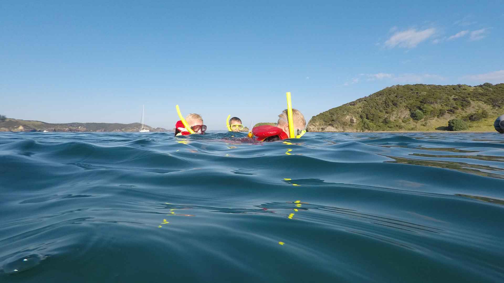 children snorkeling bay of islands