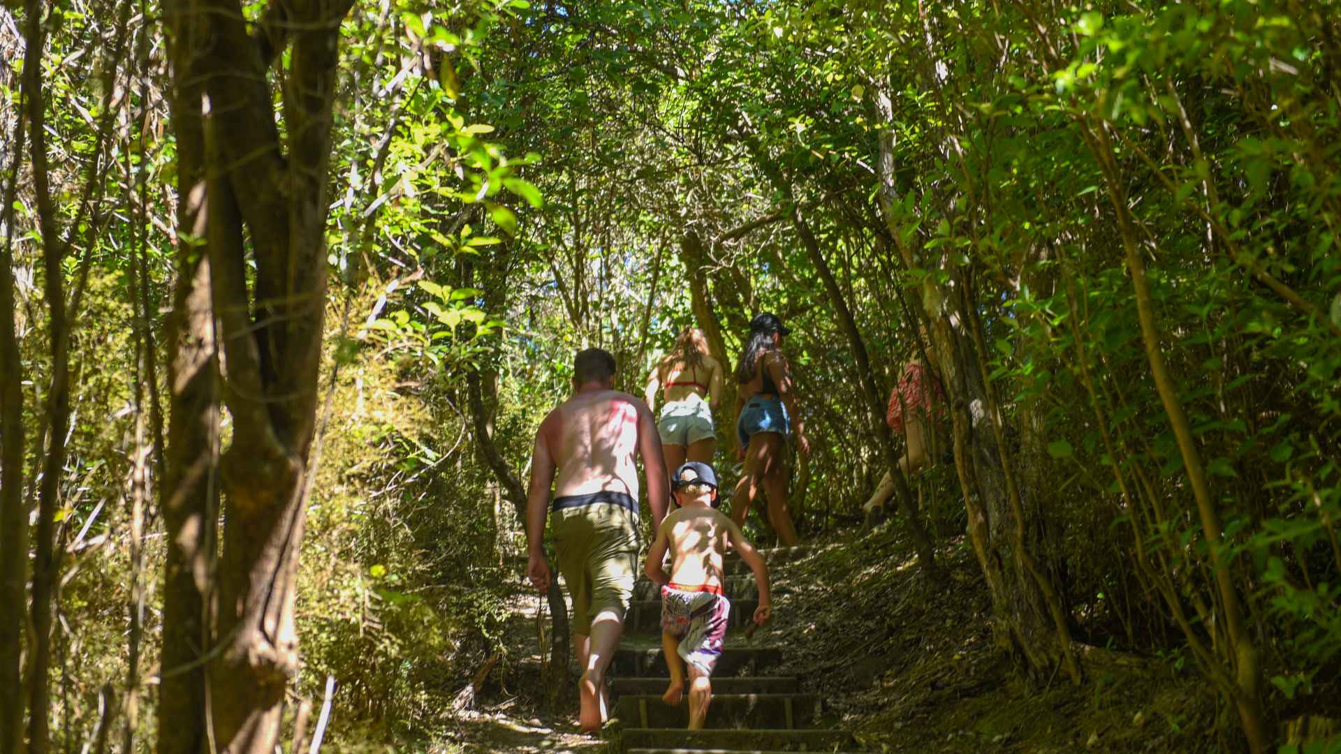 group island track walk