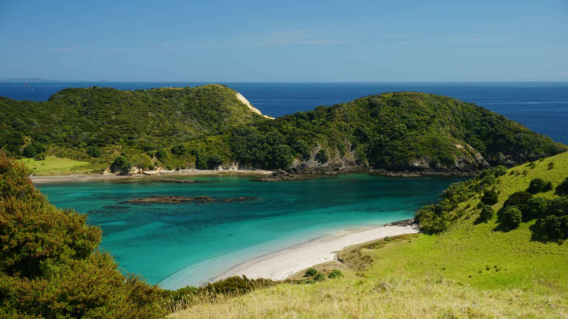 bay of islands island views