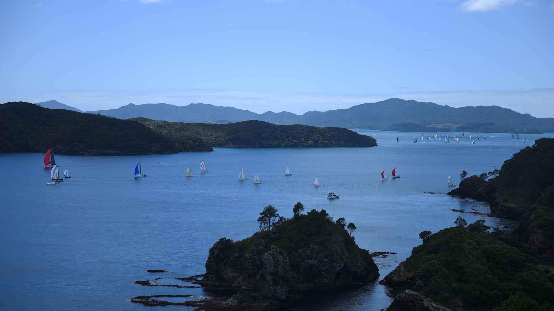 annual yatch regatta bay of islands