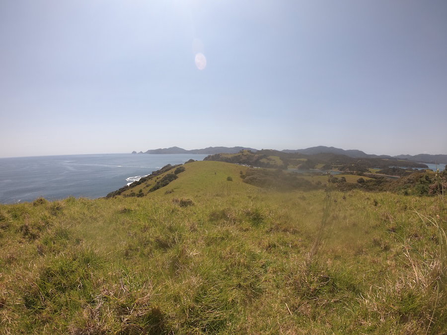 island walk in the bay of islands