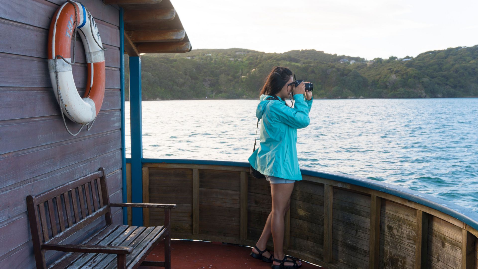 Experience cruising in the Bay of Islands