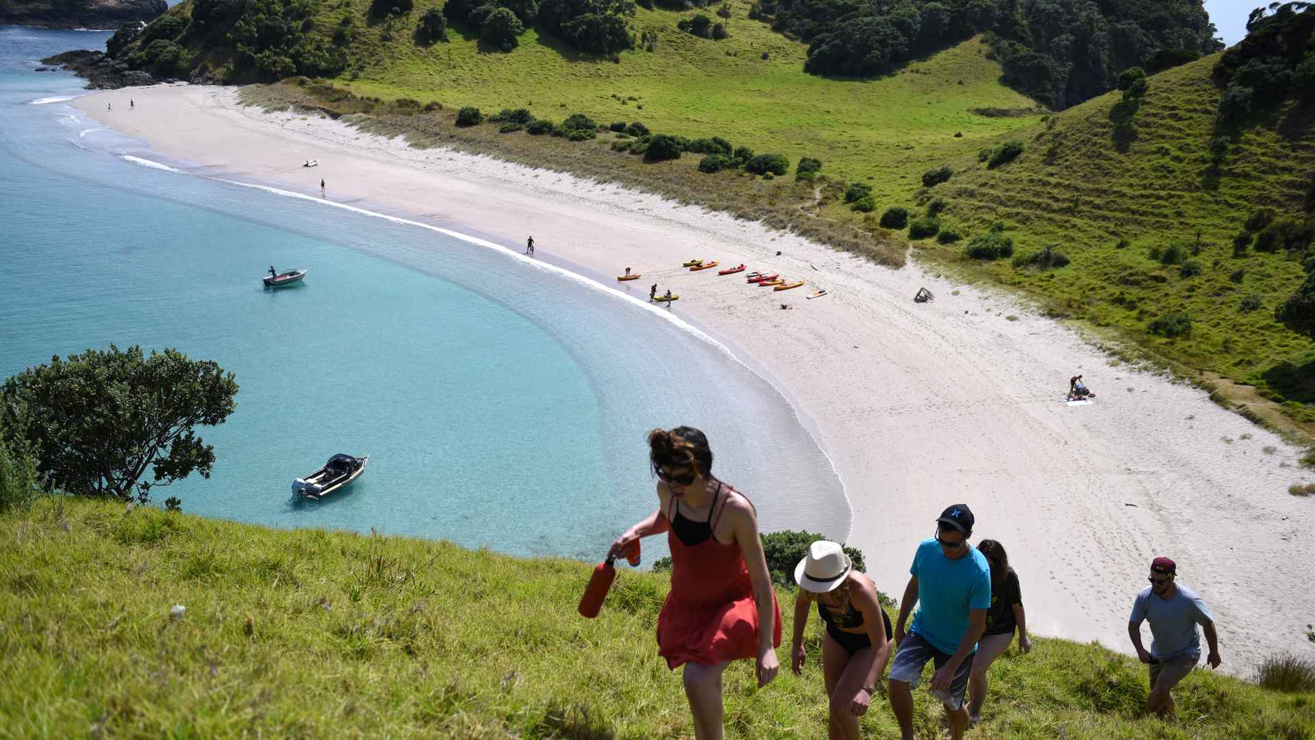 walk up Moturua Island