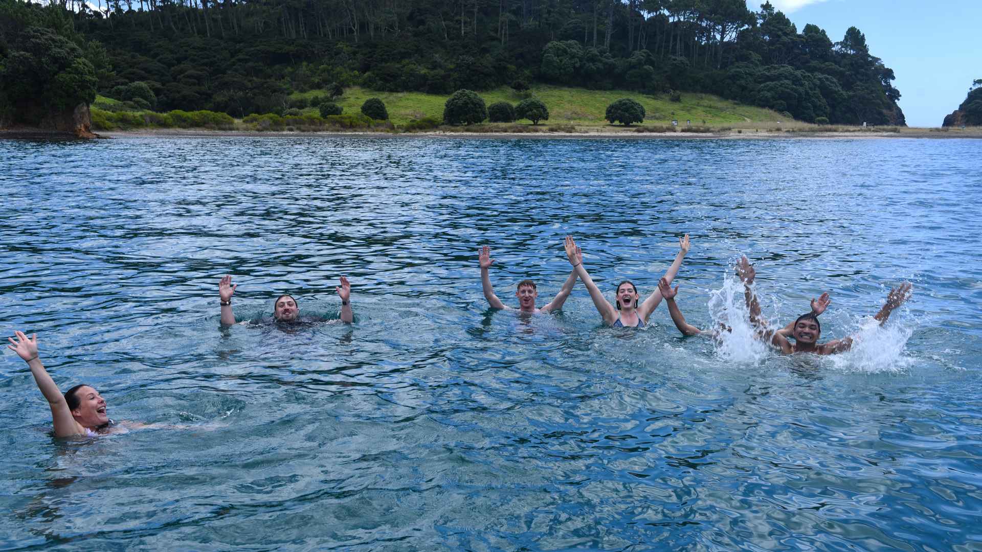 afternoon swim bay of islands