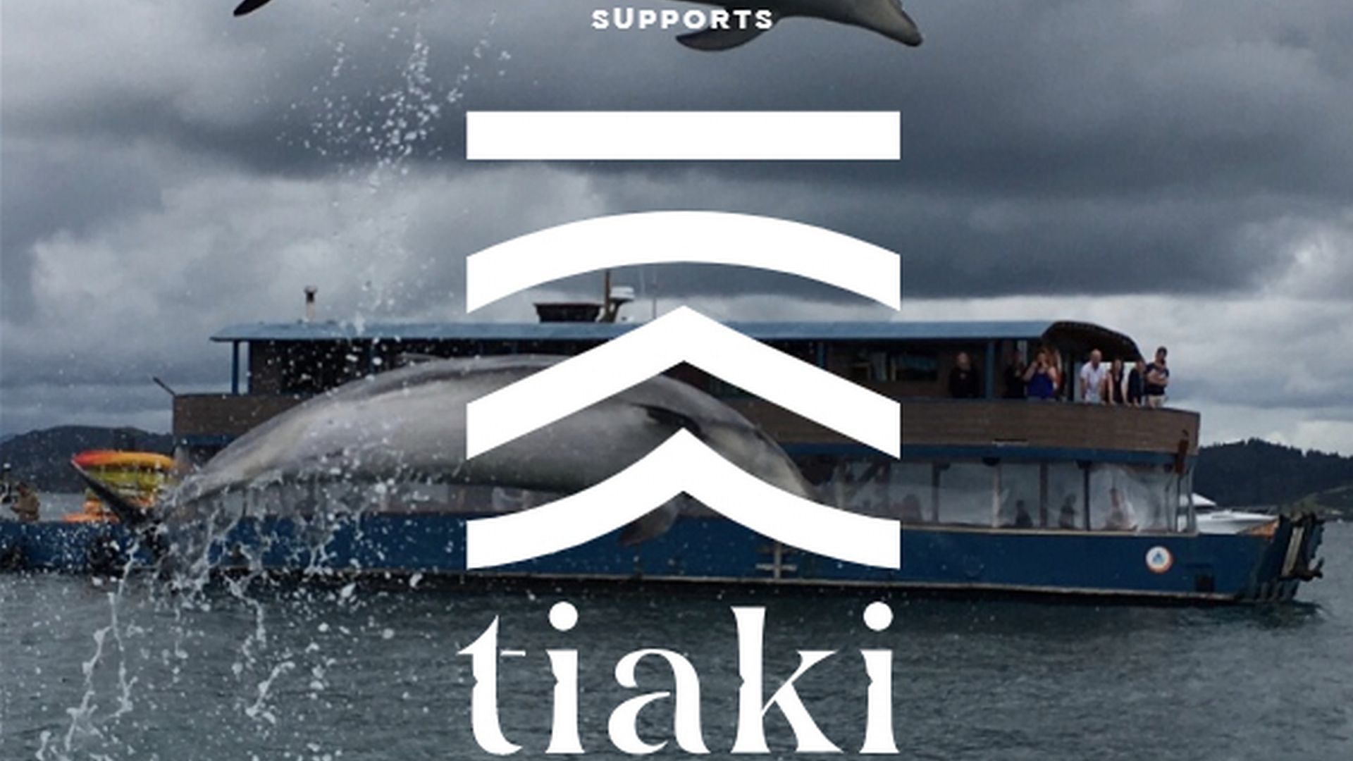 Our Bay of Islands Dolphins are jumping for joy that The Rock has joined the Tiaki Promise