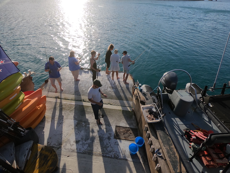 december cruise in the bay of islands