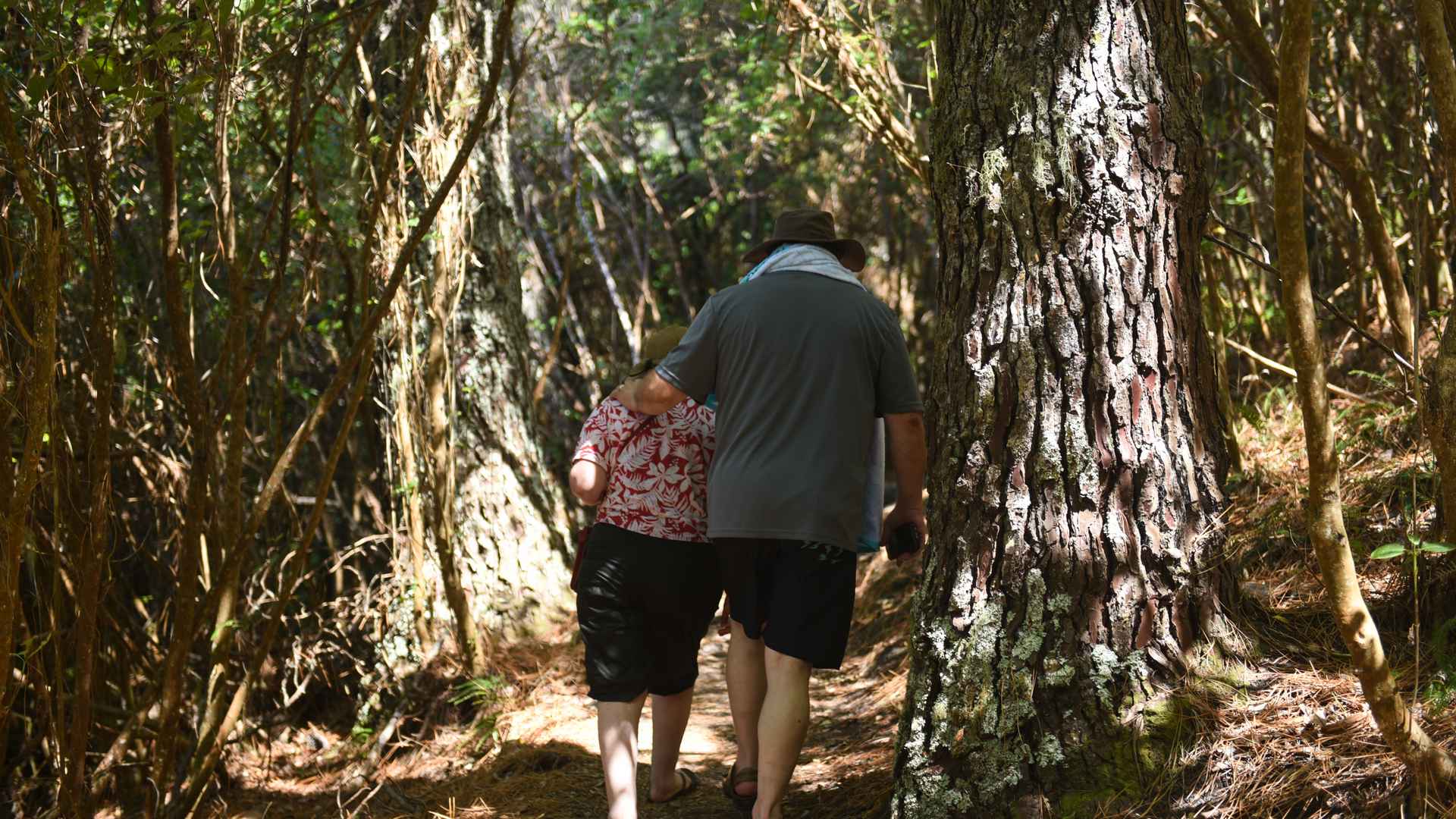 walking track at motuarohia