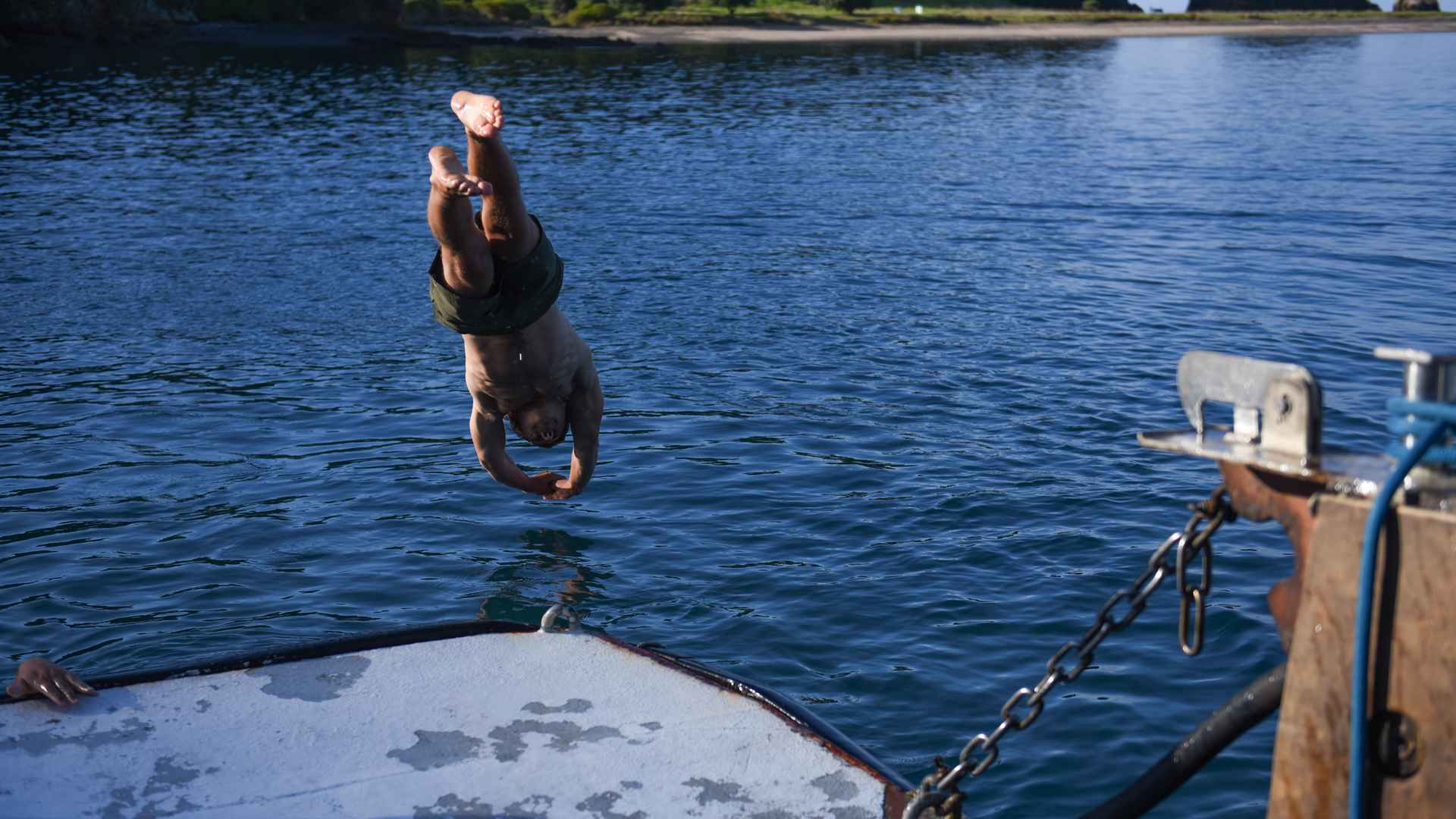 diving at The Rock NZ