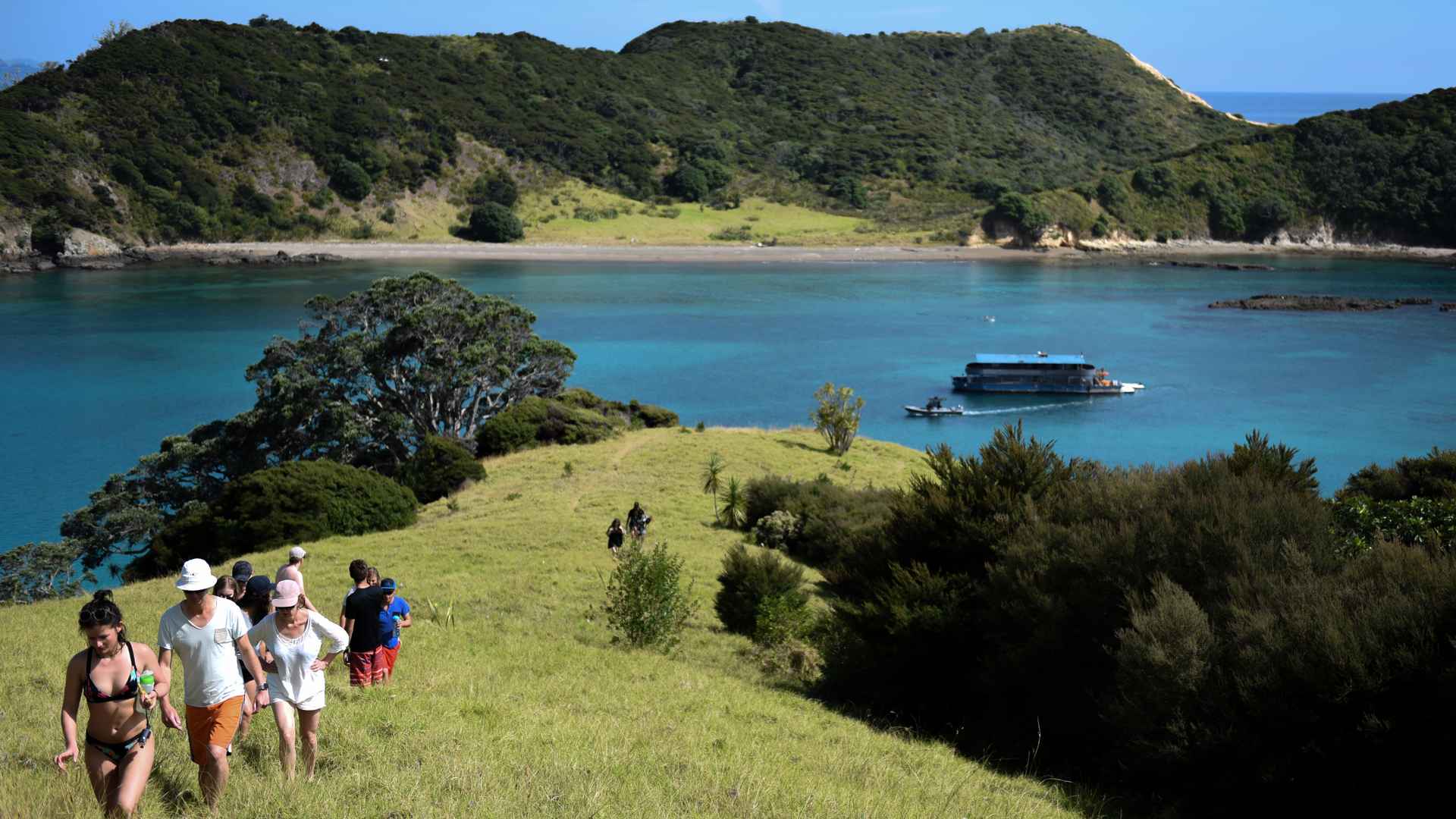 view overlooking pahia bay of islands new zealand and The Rock boat